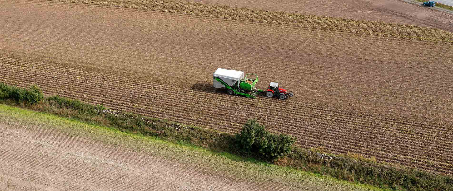 “探、收、烘、运”，看bbin宝盈如何四管齐下一站式保障秋收果实
