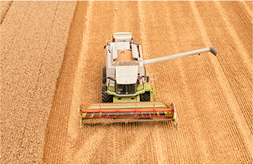 收——加大收割自动化力度，利用智能收获系统，保种保收，提产提质