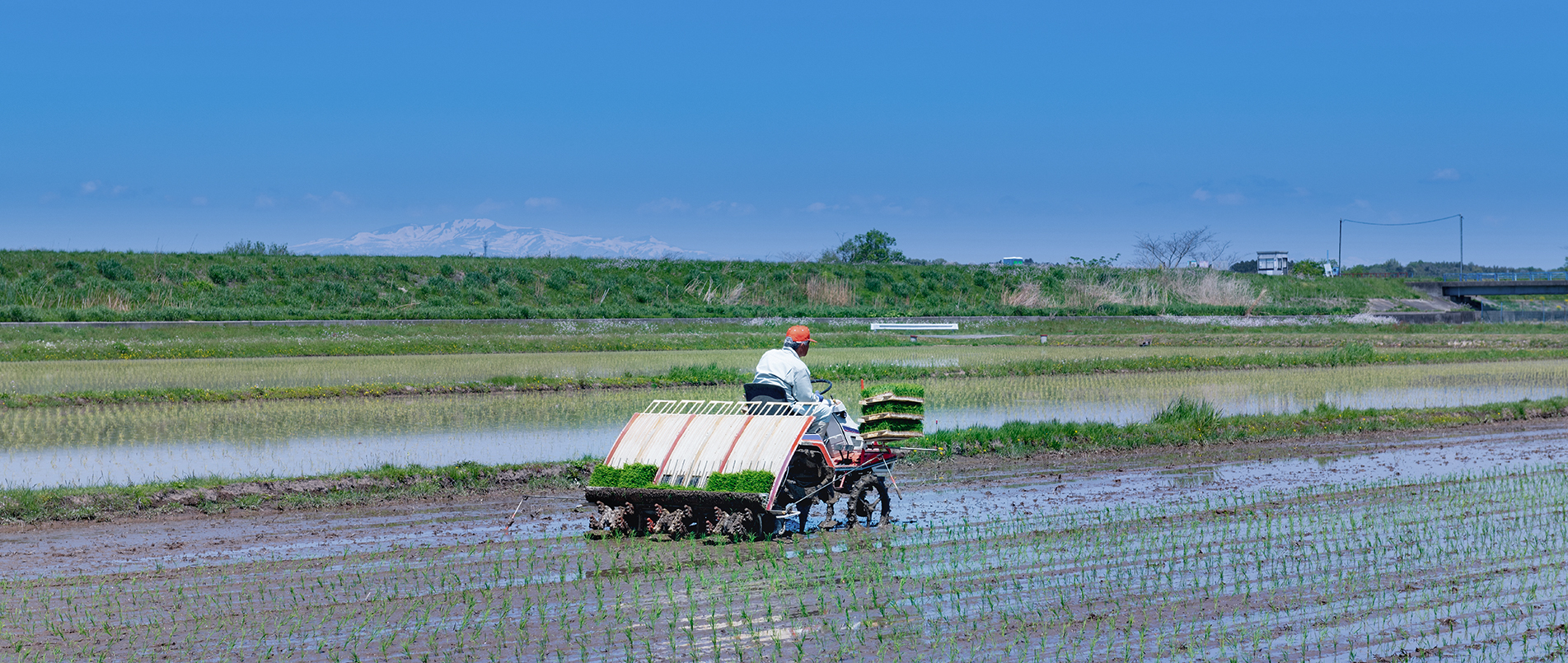 农机水田作业的“智慧大脑”——沃地泰FMA210，告别“经验种植”，开启精准高效农业之旅